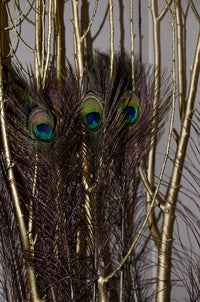 Set 25 Piume Pavone H 75 90 cm