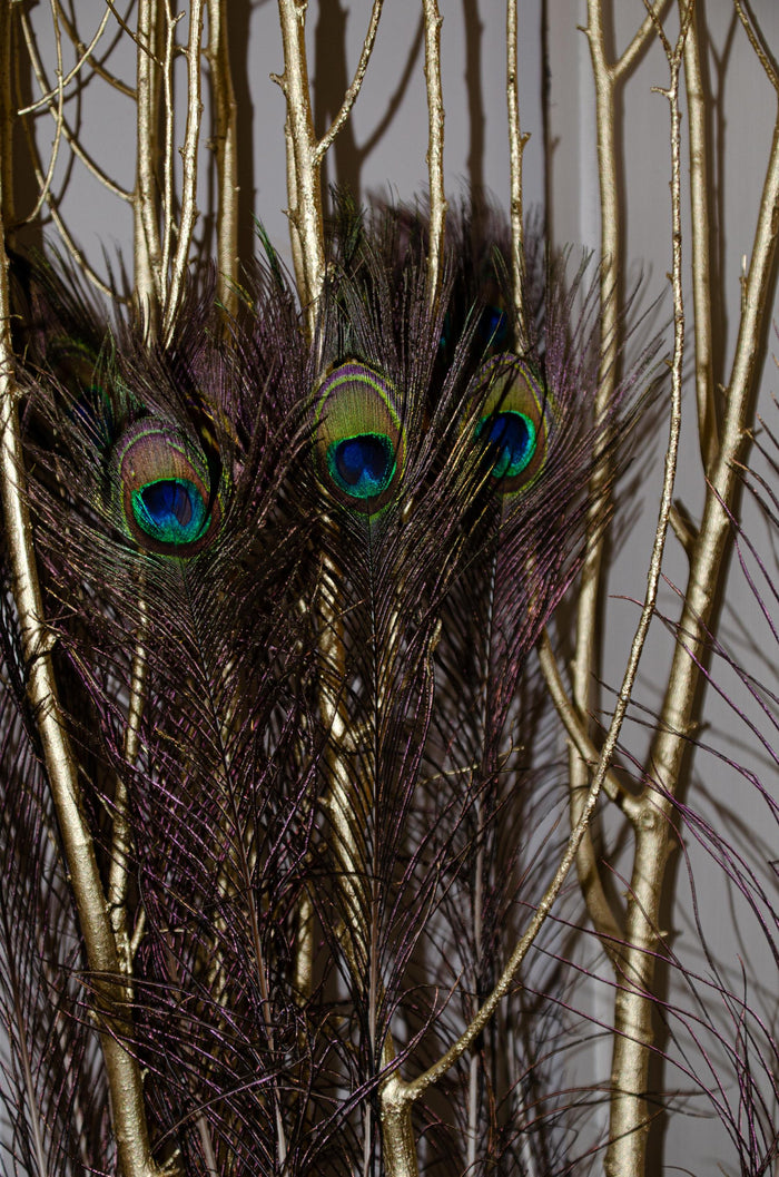 Set 25 Piume Pavone H 75 90 cm