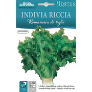 Indivia riccia romanesca da taglio Gran Raccolto