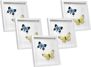 Set di 5 Cornice 3D per Foto da Muro Cornici 40x40cm per Oggetti Fino a 1,5cm, Cornici Fotografiche Multiple da Tavolo Portafoto Sospeso in Legno Passepartout Incluso, Bianco