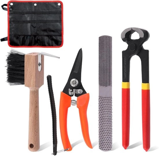 Kit di ferramenta per ferratore professionista - Uncini per zoccoli, Raspatore, Scure per taglio, Penna con borsa di trasporto - Set di attrezzatura per equitazione per cavalli, asini, capre (5 pezzi)