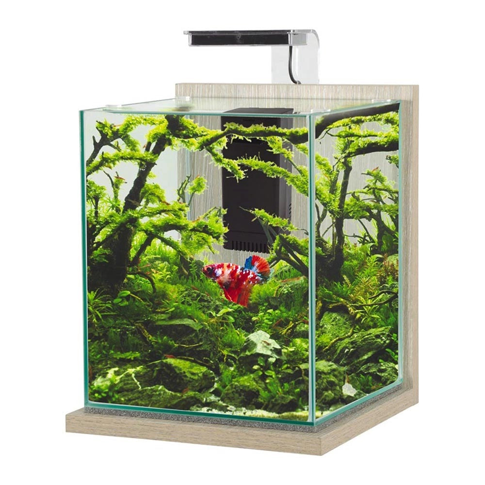 Zolux Jalaya XL 18,7L - acquario cm28,2x27,4x34,8h completo di filtro interno e plafoniera LED Colore: Zebrano Grigio