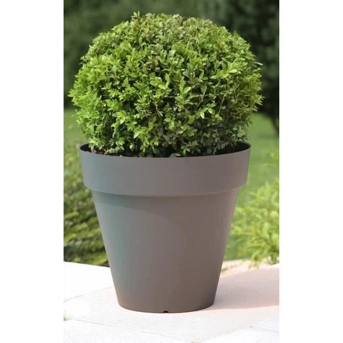 giardino del contenitore in plastica