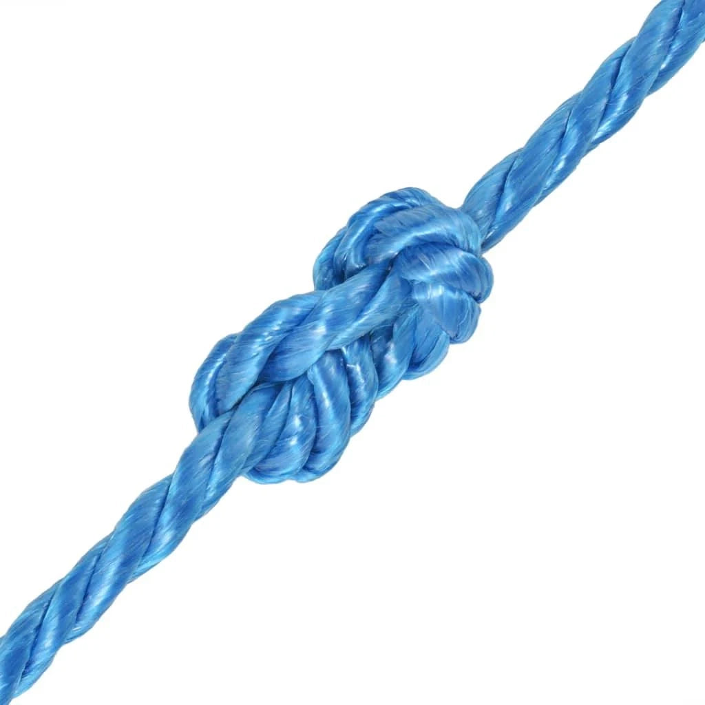 Corda ritorta in polipropilene blu da 12 mm x 250 m 02_0003397