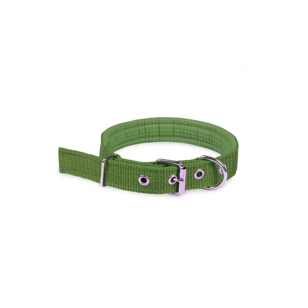 Trade Shop - Collare In Nylon Con Imbottitura Per Cani Piccola Tg. Chiusura Fibbia Regolabile -