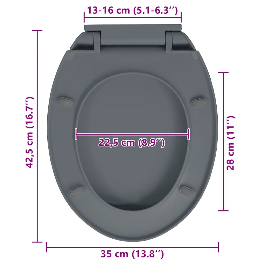 Copriwater Chiusura Ammortizzata e Sgancio Rapido Grigio Ovale CFW3311238