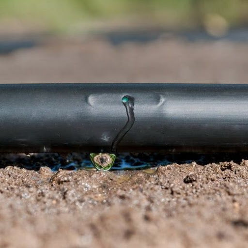 TUBO forato ALA GOCCIOLANTE 50 MT bucato DIST. 30 CM DA 16 2 LT X ORA IRRITEC