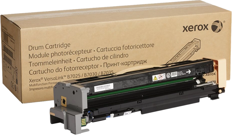 Xerox 113R00779 cartuccia toner 1 pz Originale Nero
