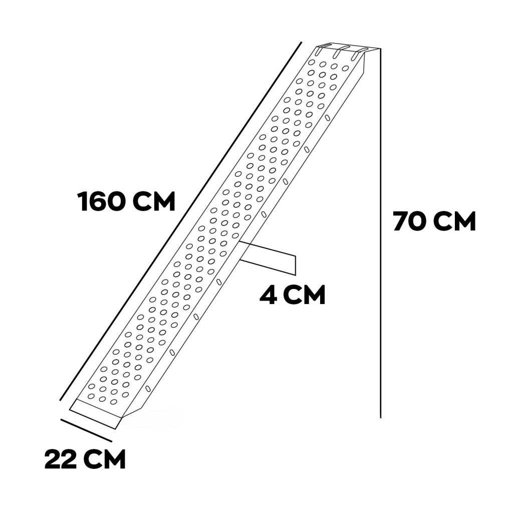 Taurus 600 - Coppia di rampe da carico in acciaio 600Kg