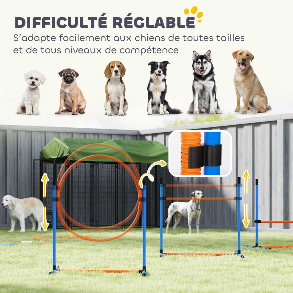 Set Agilit¨¤ per Cani 11 Pezzi ¨C zephmum ¨C 2 Tunnel, Salti Regolabili, Arancione e Blu