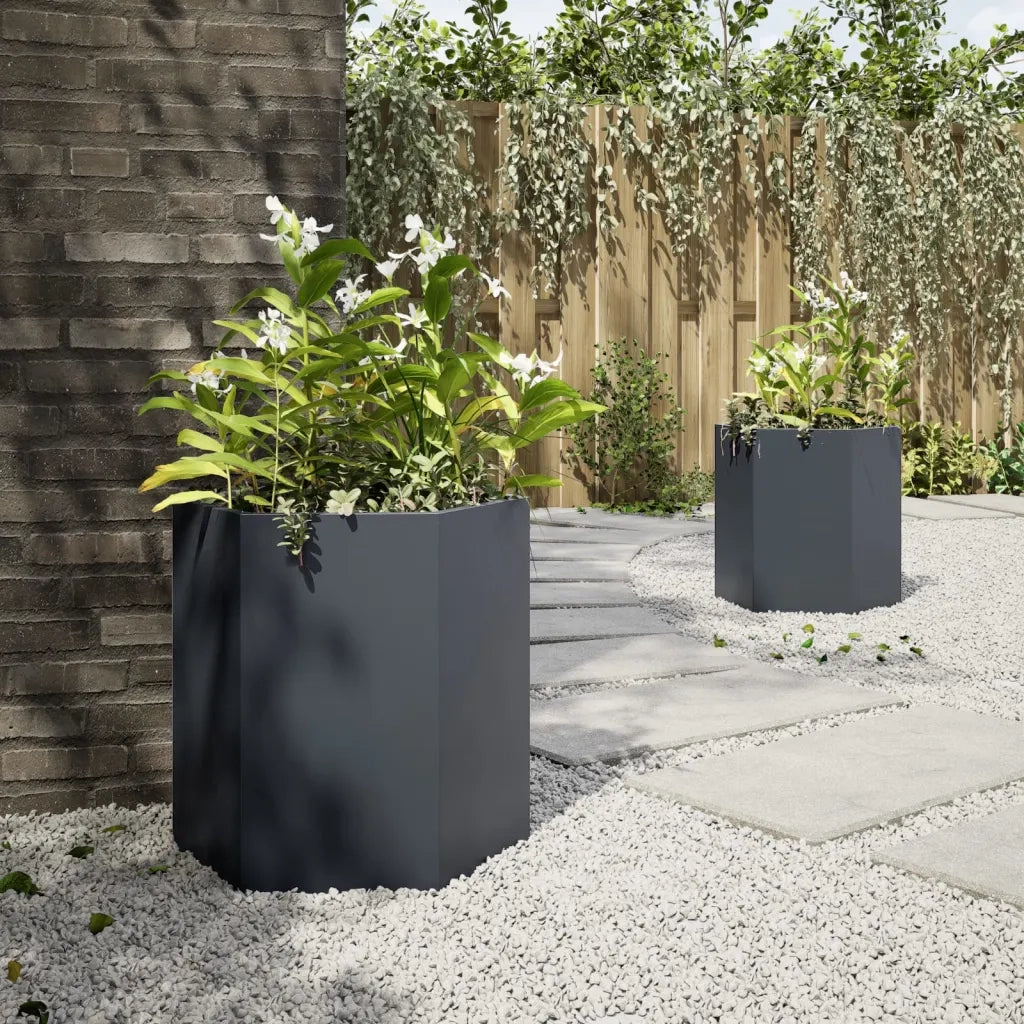 Fioriere da Giardino 2 pz Antracite Esagono 46x40x45 cm Acciaio