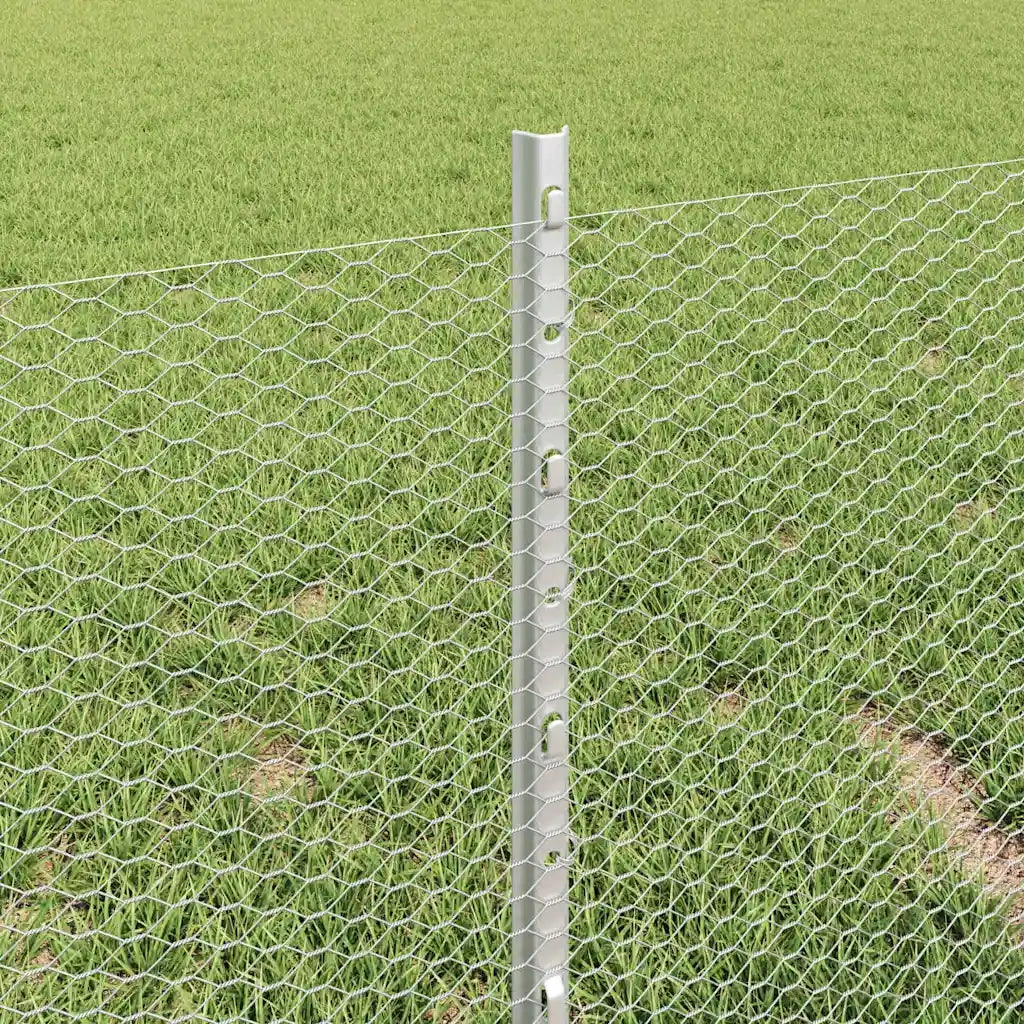 Recinzione da Giardino | Recinzione con Posto Argento