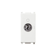 Interruttore Vimar Plana a chiave 2P 16AX colore bianco 14083