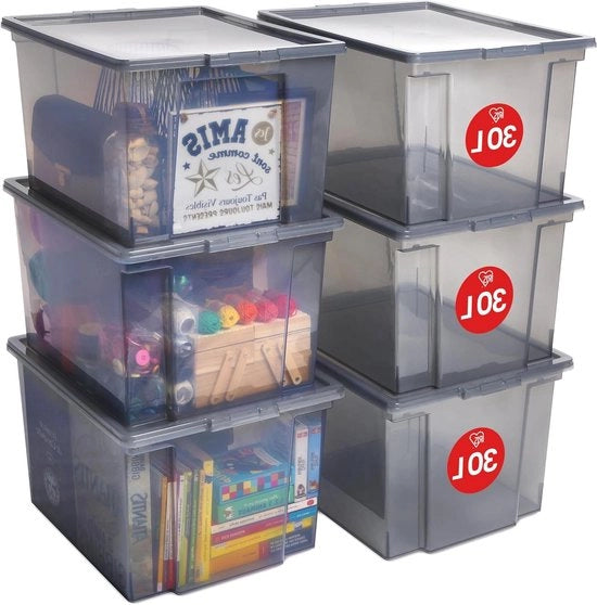 Set di archiviazione da 6, 30 L, coperchio, stivabile per garage, camera da letto, soggiorno - USB-M - Grigio