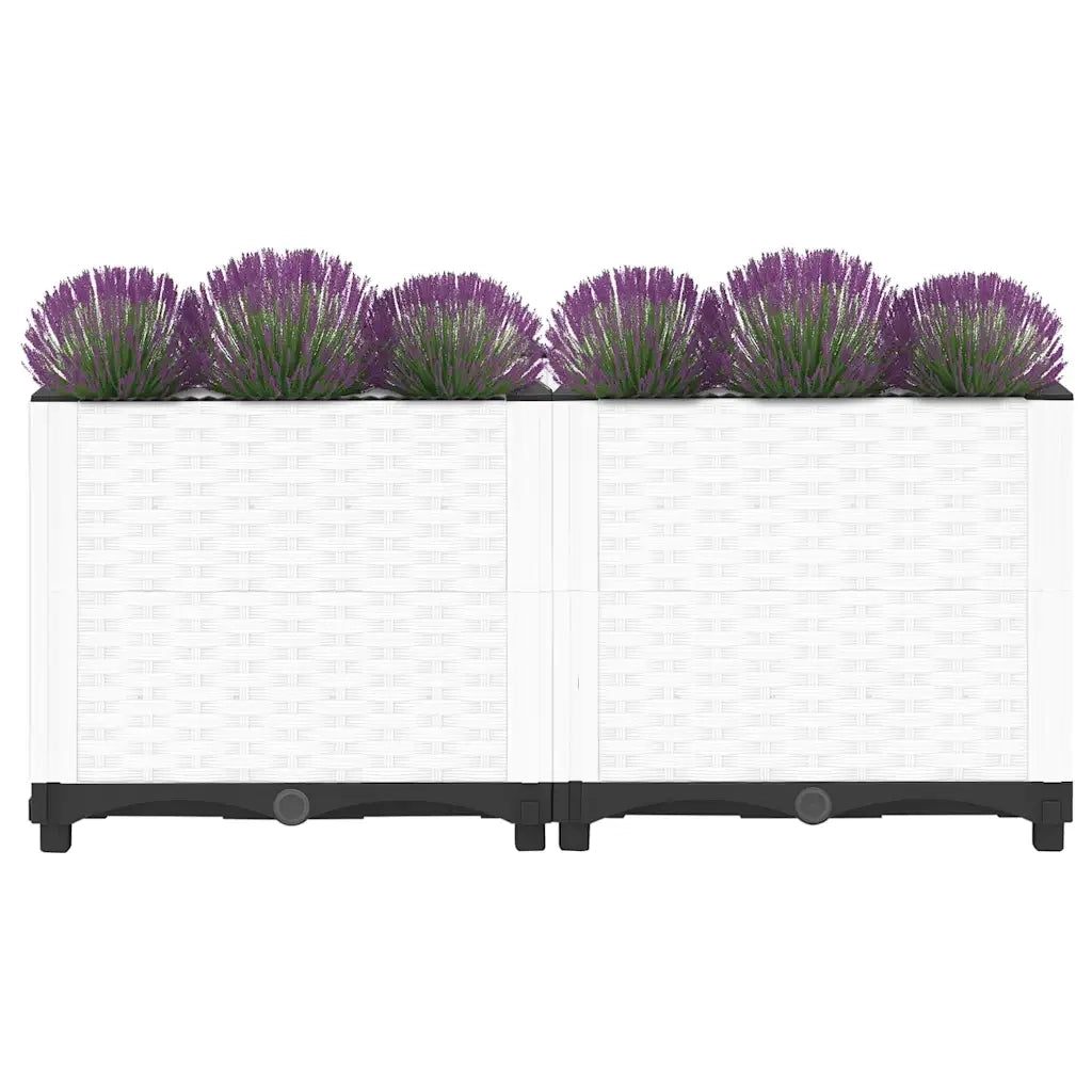 Fioriera | Cassetta per fiori | Vaso Rialzata 80x40x38 cm in Polipropilene