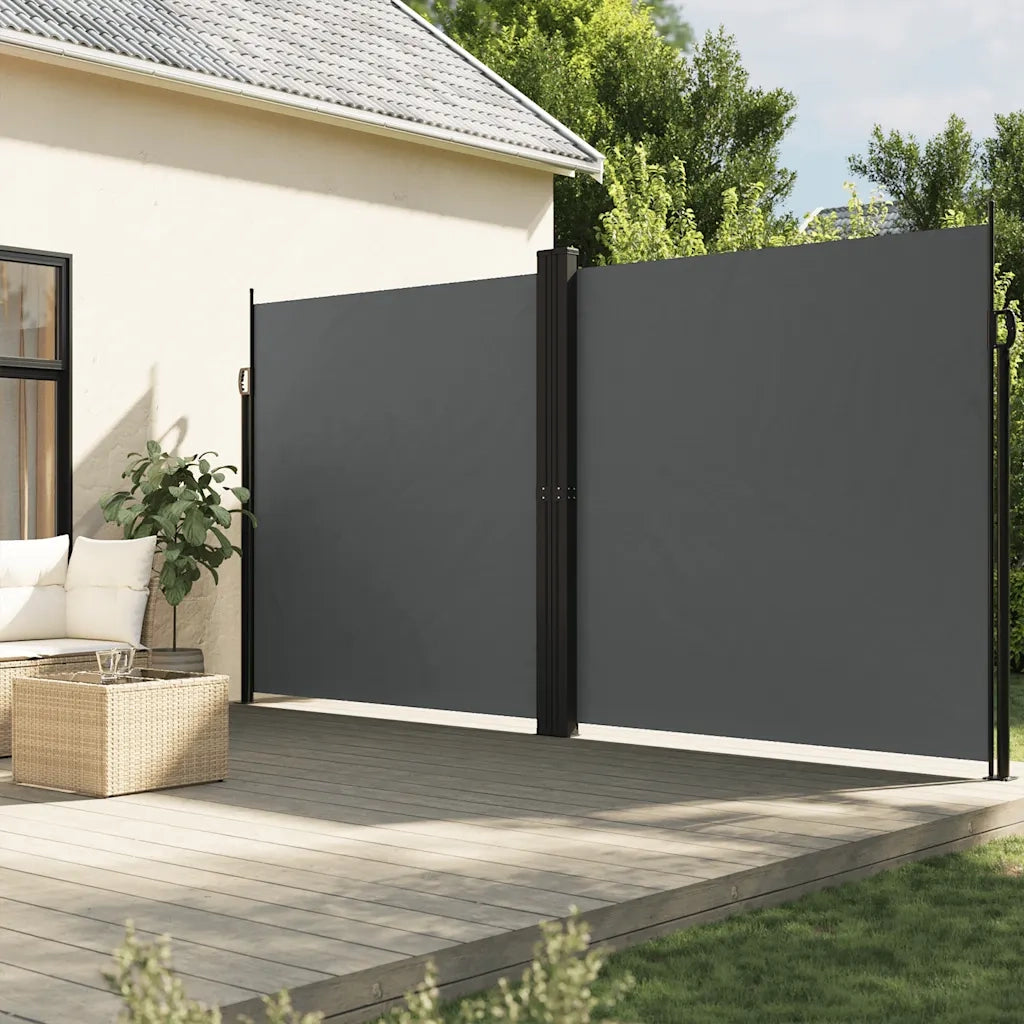 Tenda da Sole Laterale Retrattile Antracite 220x1000 cm 4004778