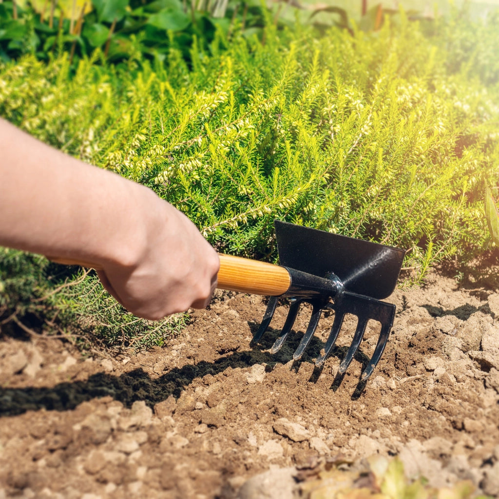 Set di attrezzi da giardino KADAX: zappa, rastrello e artigli per il giardino Kadax.