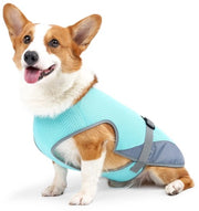 Abbigliamento rinfrescante per cani - Estivo abbigliamento rinfrescante per cani - Leggero, respirante abbigliamento per cani - Regolabile - Raffredda - Adatto per cani piccoli, medi e grandi (M)