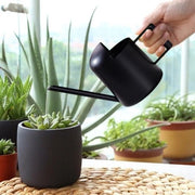Mini giardiniere 300 ml - tuingieter in acciaio inossidabile - fiori di bonsai - nero
