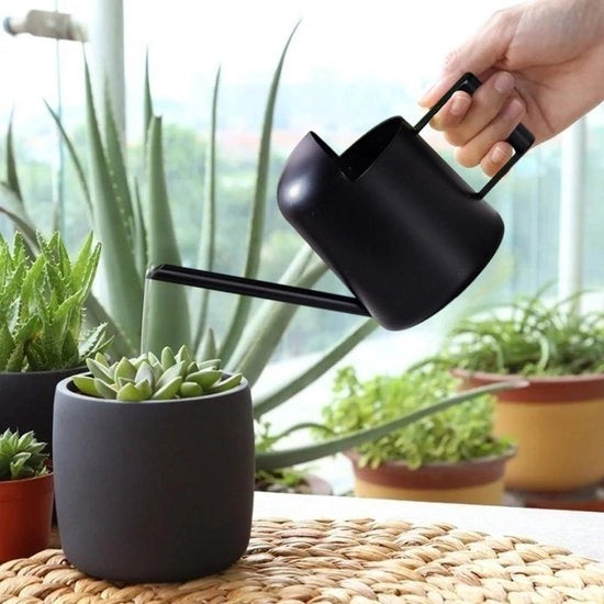 Mini giardiniere 300 ml - tuingieter in acciaio inossidabile - fiori di bonsai - nero