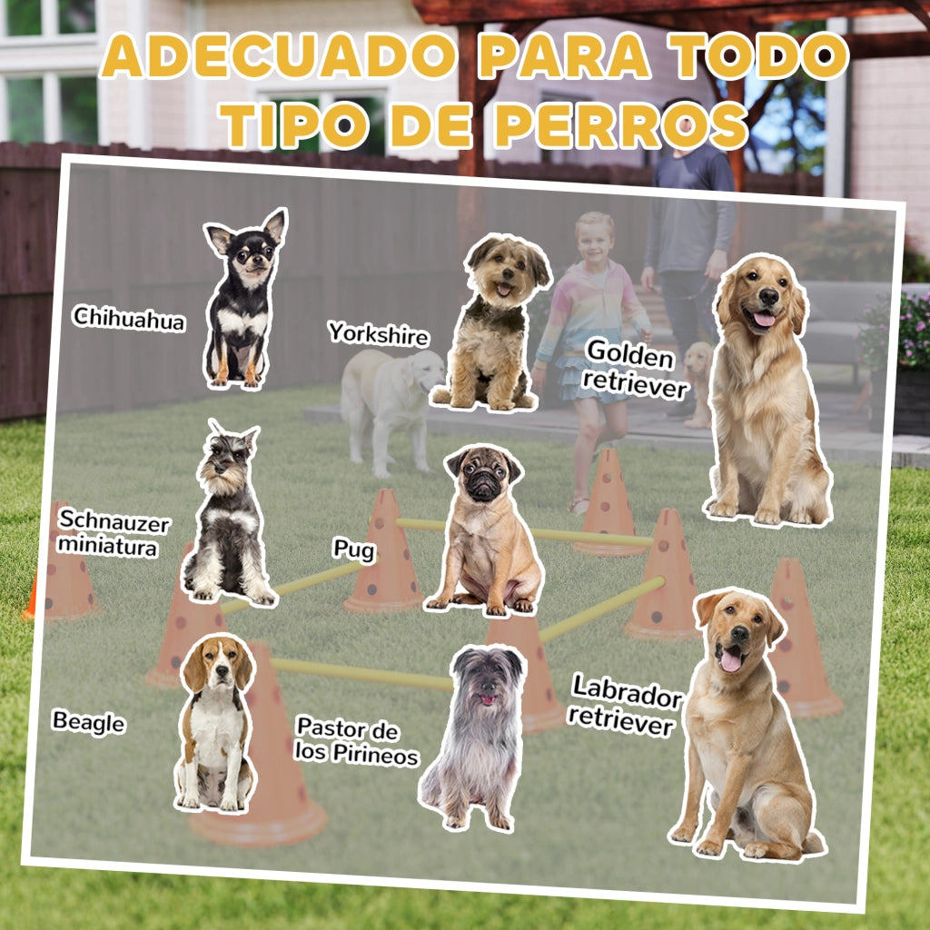 Set di Agilit¨¤ per Cani con 8 Coni e 8 Barriere ¨C Zephmum ¨C Verde