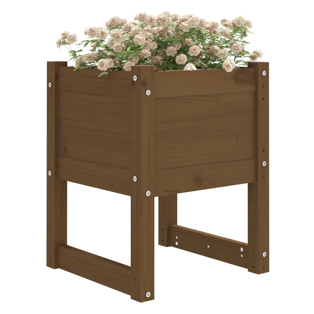 Fioriera Marrone Ambra 40x40x52,5 cm in Legno Massello di Pino 822113