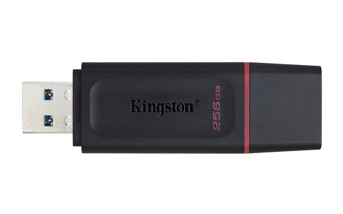 Kingston DTX/256GB