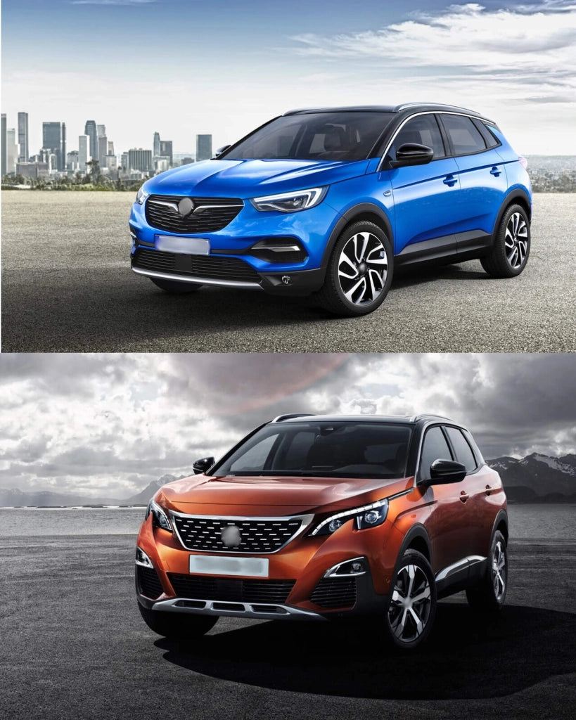 RIGUM904000 , Peugeot 3008 II dal 2016- , Opel Grandland-X dal 2017-