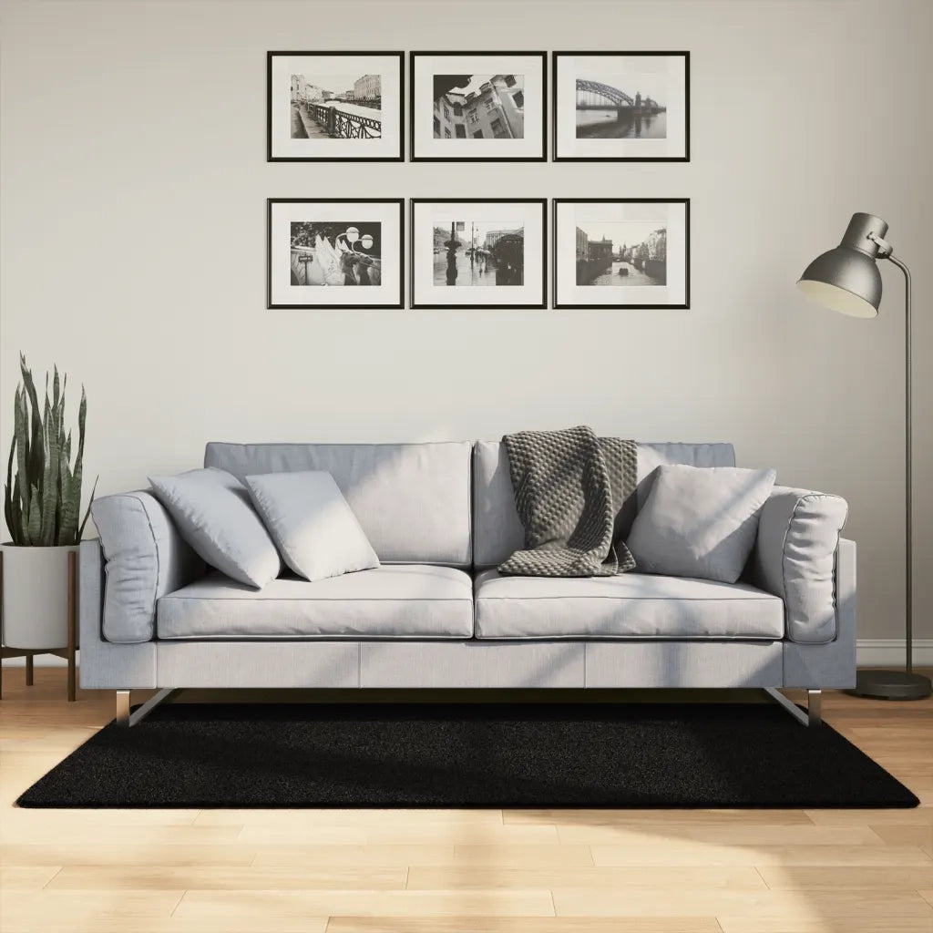 Tappeto del soggiorno | Tappeto a Pelo Corto HUARTE Morbido e Lavabile Nero 80x150 cm