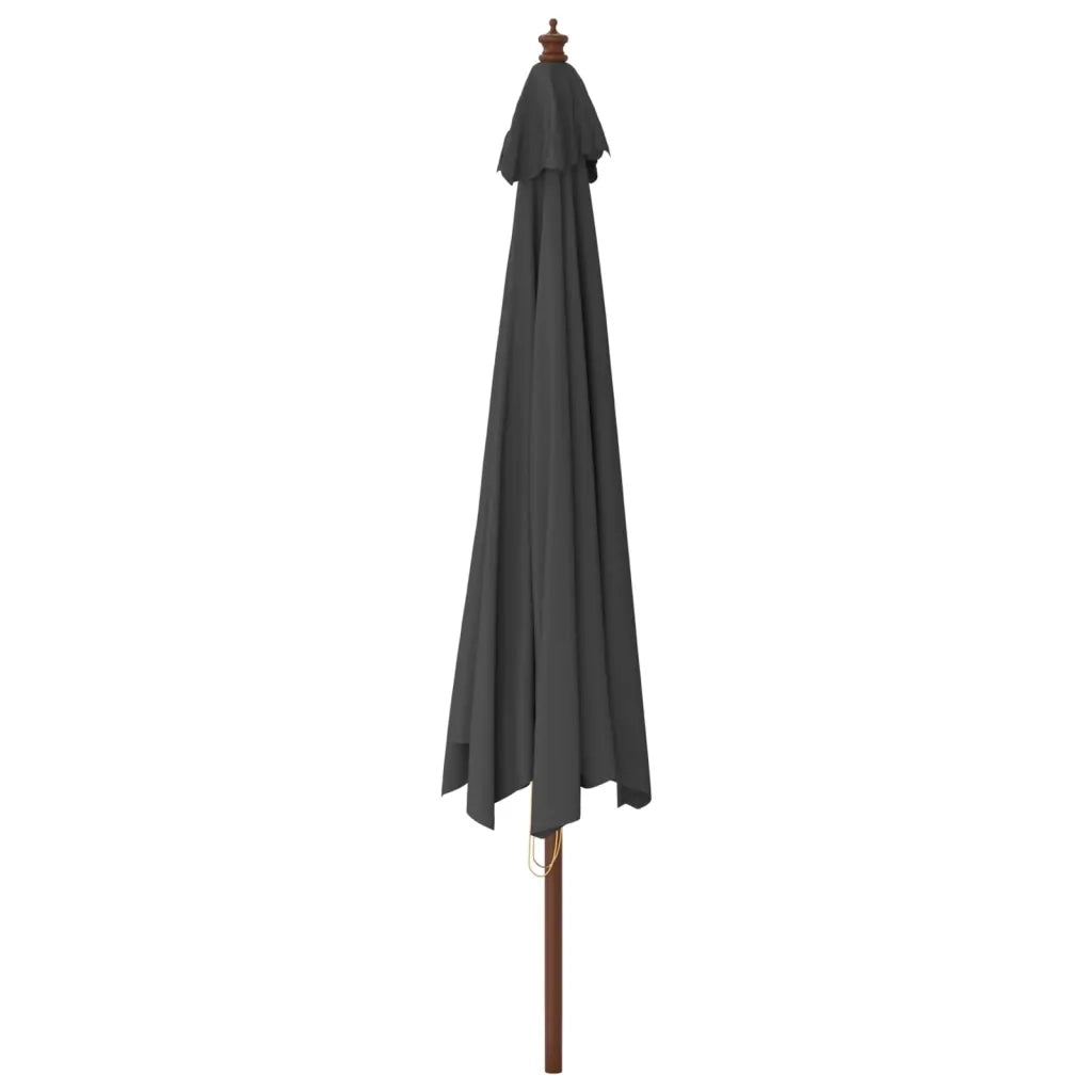 Ombrellone da Giardino con Palo in Legno Antracite 400x273 cm 363177