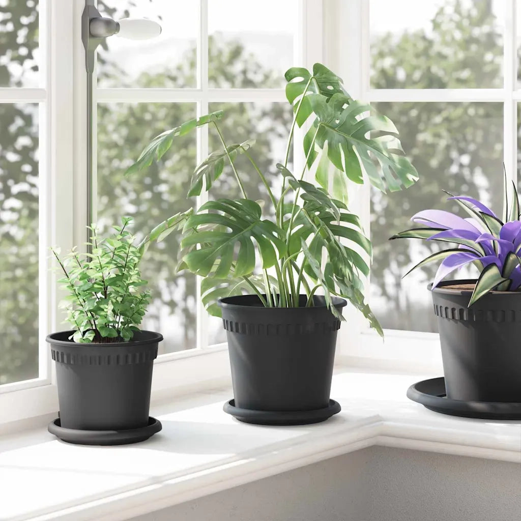 Vassoio Rotondo per Fiori 24 pcs Nero Ø 15,5 x 2 cm Plastica