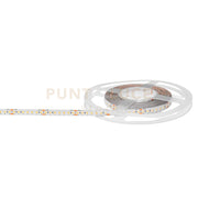 GST161C- STRISCIA LED 5MT 3000K 8750LM 14,4W/m IP20