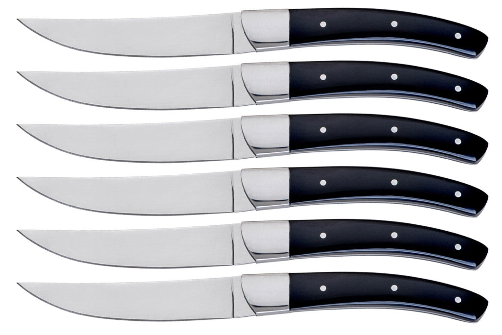 Set 6 Coltelli da Bistecca Lama Liscia Manico in Plastica Tyson Nero