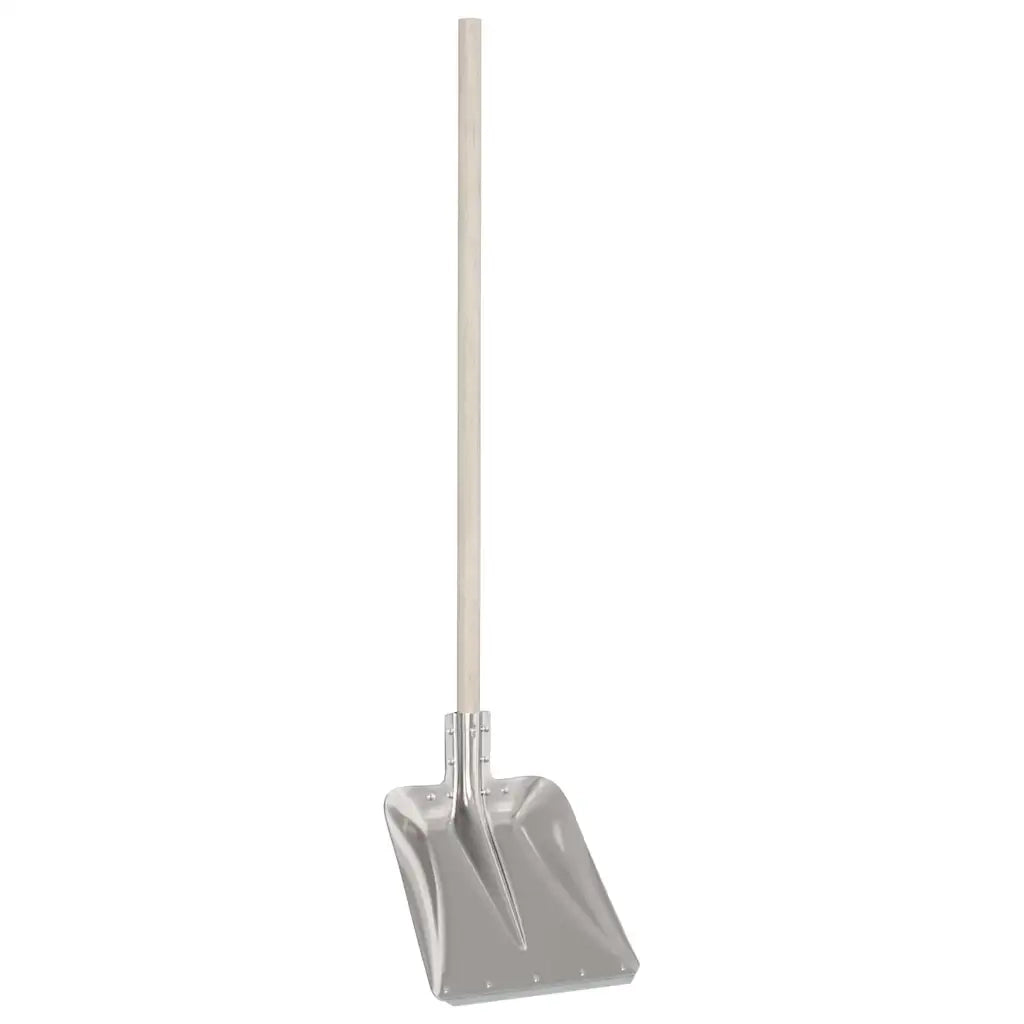 Testa di Pala Argento 45 x 38 cm Alluminio CFW4352994