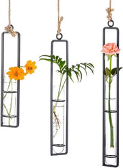 Vaso per piante a tubi di vetro trasparente per idroponica per decorazione di casa, balcone, giardino