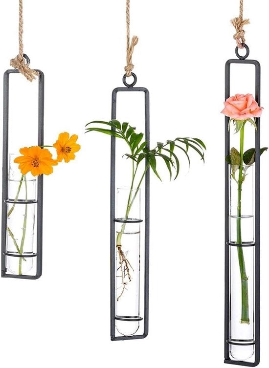 Vaso per piante a tubi di vetro trasparente per idroponica per decorazione di casa, balcone, giardino