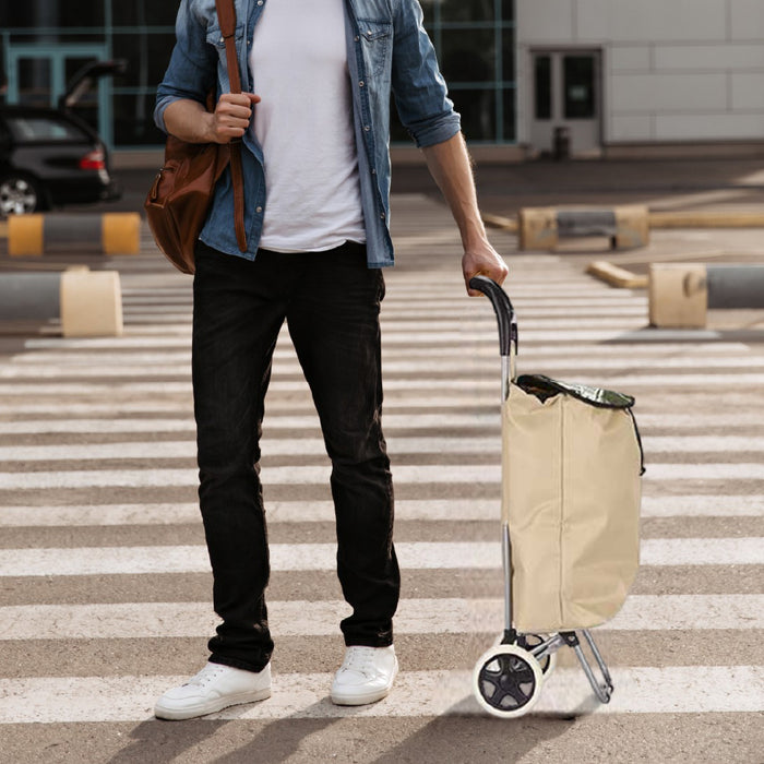 Carrello Porta Spesa Metallo Zincato Maniglia 2 Ruote Capacità borsa 33L