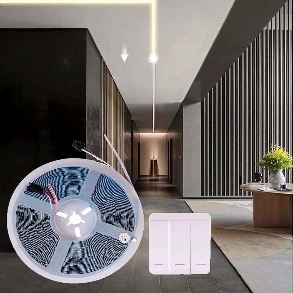 Striscia Led Luminosa light running cammina 24V da 5mt 59 Watt con controller Luce bianca naturale 4000k