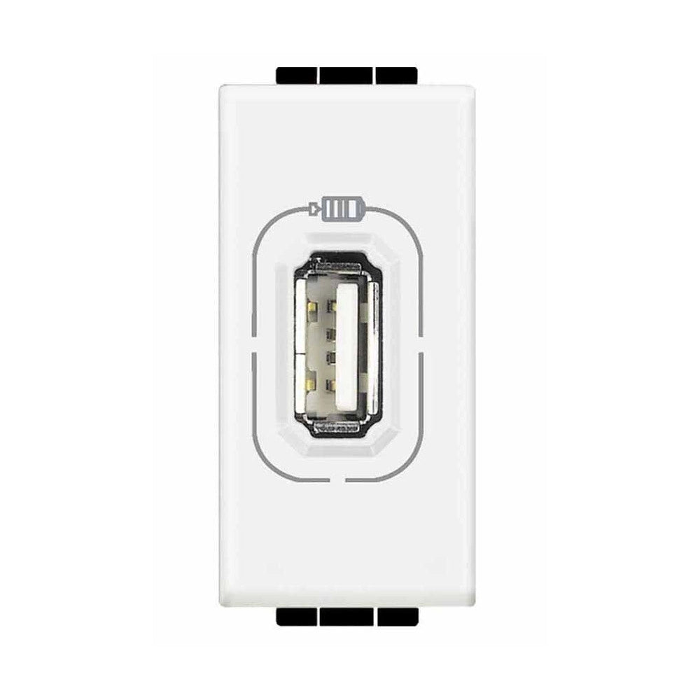 Trade Shop - Serie Living International Compatibile Apparecchi Di Comando Moduli Prese Interr -     Presa 1 Usb