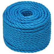 Corda da Lavoro Blu 12 mm 25 m in Polipropilene 152977