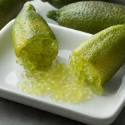 Gardenaria Limone Caviale Verde (Finger Lime) - Microcitrus australasica - Pianta di agrume da frutto in vaso Altezza: 70/80 cm (vaso 22)
