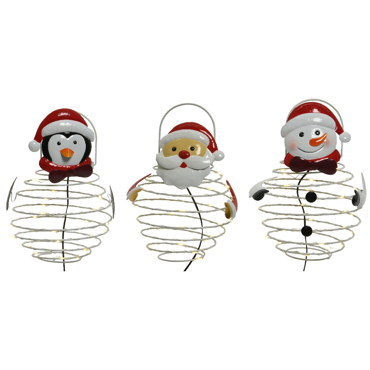 ANIMALETTO ASS MICROLED