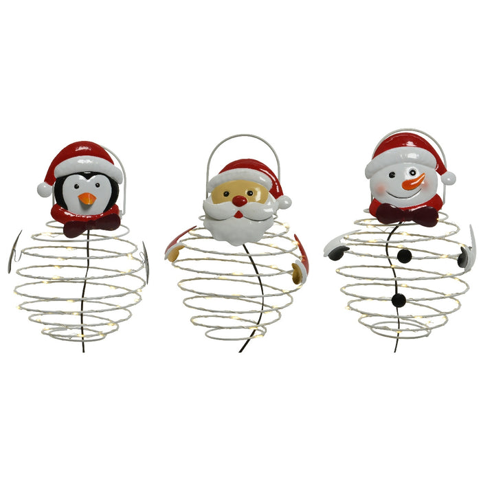 ANIMALETTO ASS MICROLED