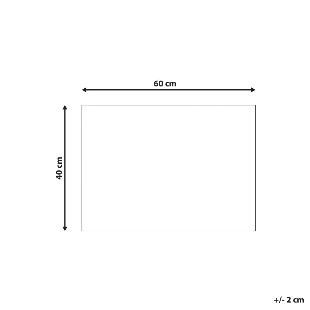 Zerbino in fibra di cocco naturale con fondo in PVC antiscivolo 40 x 60 cm Testo della casa Motivo moderno per interni