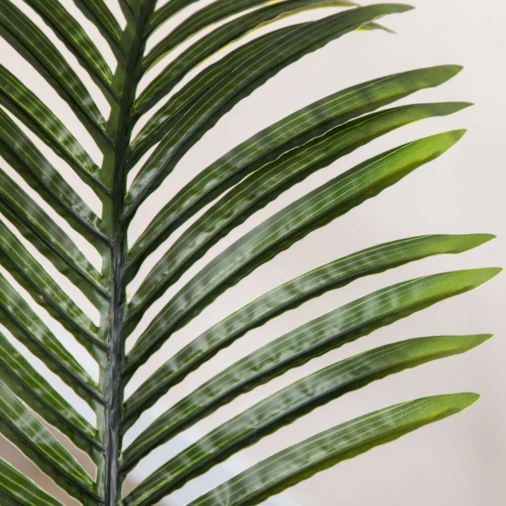 Palma Areca Artificiale ¨C Xylo ¨C 170 cm 11 Foglie Verde per Interno