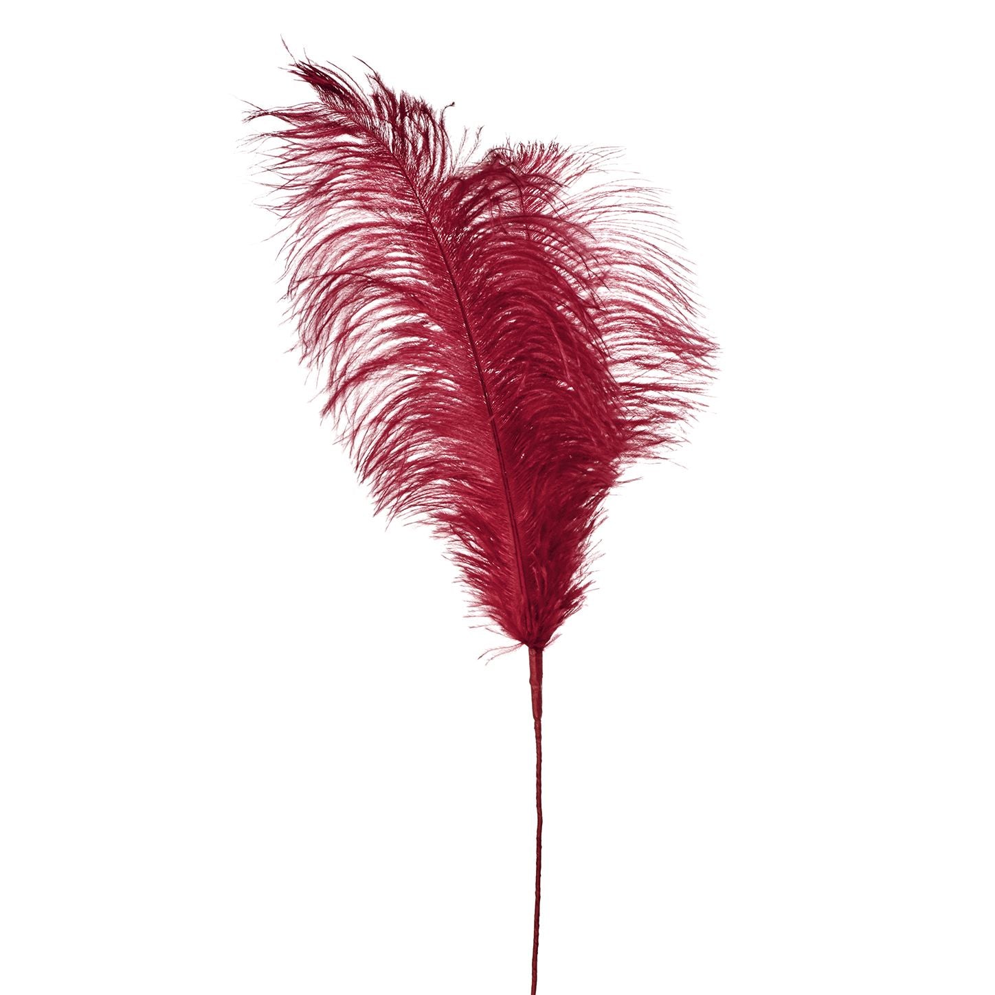 PIUMA DECORATIVA ROSSA 66 CM