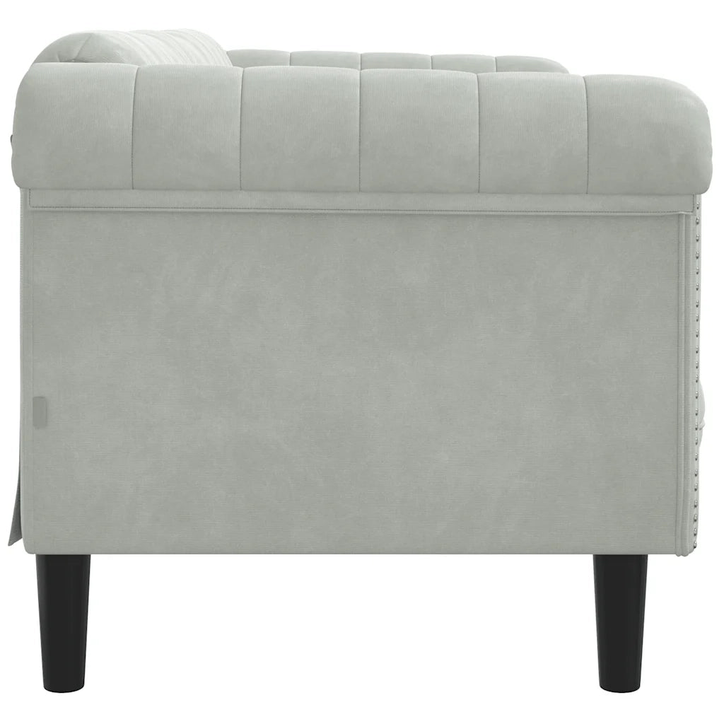 Divano | Divano da soggiorno | Sofa a 2 Posti Grigio Chiaro in Velluto