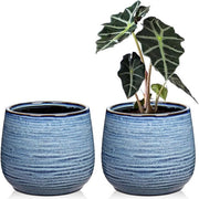 Set di Pannelli per Piante in Ceramica da 2 a 5,5" e 14CM con Fessure di Drenaggio - Piatto di Giardino Blu per Succulente Cactus - Pannelli Decorativi per Fiori