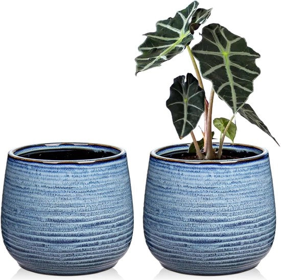 Set di Pannelli per Piante in Ceramica da 2 a 5,5" e 14CM con Fessure di Drenaggio - Piatto di Giardino Blu per Succulente Cactus - Pannelli Decorativi per Fiori