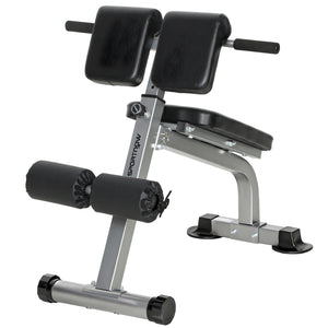 Panca Romana Regolabile e Pieghevole Multifunzione Capacità 150 kg Argento